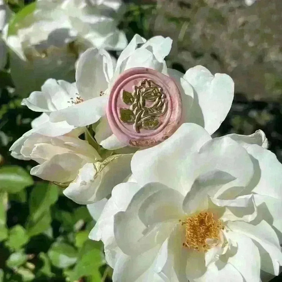 3D Rose Wax Seals Handmade (+more!) - Picture 1 of 16